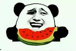 吃瓜群众小科普,吃瓜群众小科普,带你走进明星幕后生活