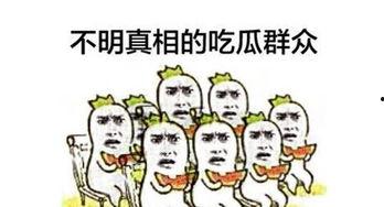 吃瓜群众之一瓜子,揭秘娱乐圈背后的瓜皮故事