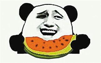 吃瓜群众之一瓜子,揭秘娱乐圈背后的瓜皮故事