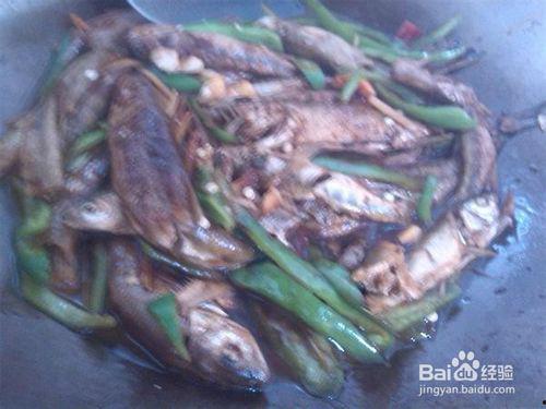 鱿小鱼吃瓜群众,揭秘网络热议背后的故事