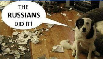 俄罗斯引擎吃瓜群众是真的吗,吃瓜群众的真实心声揭秘