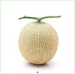 吃瓜群众的扇子是什么,探寻其背后的文化内涵