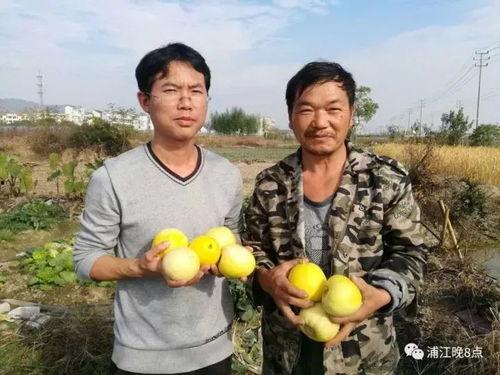 吃瓜群众5883,一场全民参与的娱乐盛宴