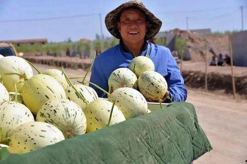 老五吃瓜群众是哪一集,揭秘神秘事件背后的真相