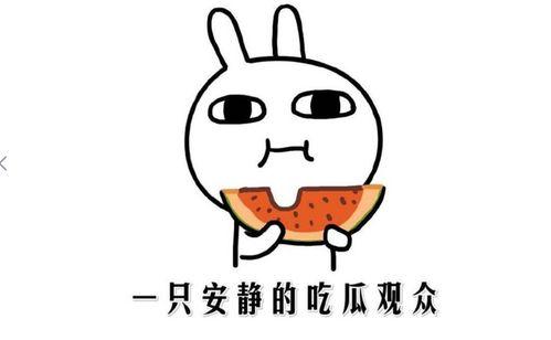 吃瓜群众的人们叫什么人,吃瓜群众视角下的“瓜田人生”