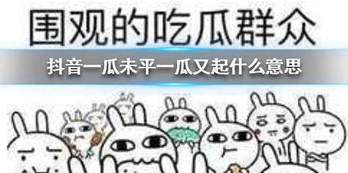 抖音都是吃瓜群众怎么办,全民吃瓜，娱乐至上的时代缩影