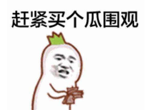 朝阳群众吃瓜 蘑菇视频曝光,蘑菇视频独家曝光惊人内幕