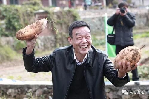 吃瓜群众何雨柱,网络红人的崛起与争议