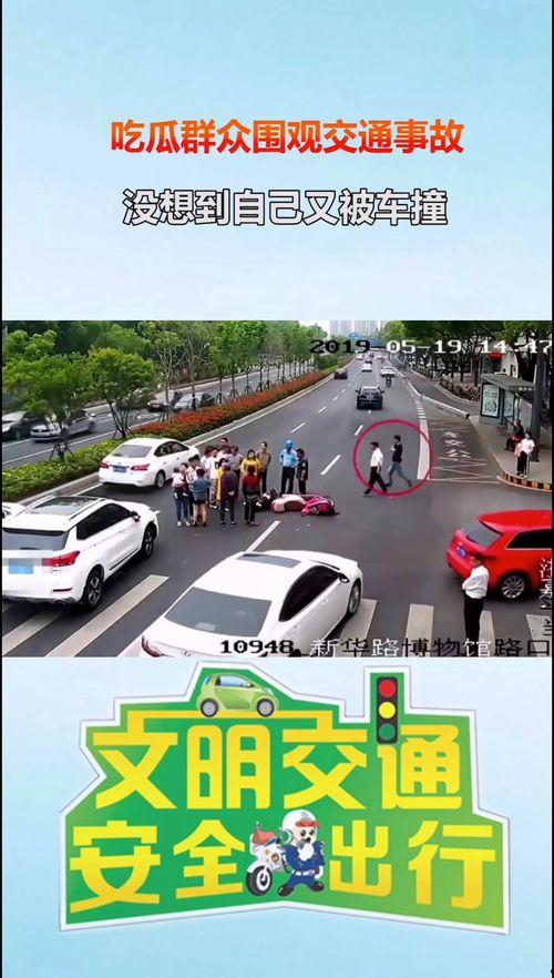 吃瓜群众出车佛山站,一场别开生面的出行体验