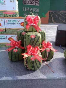 类似吃瓜群众的头衔,网络时代的围观者与传播者