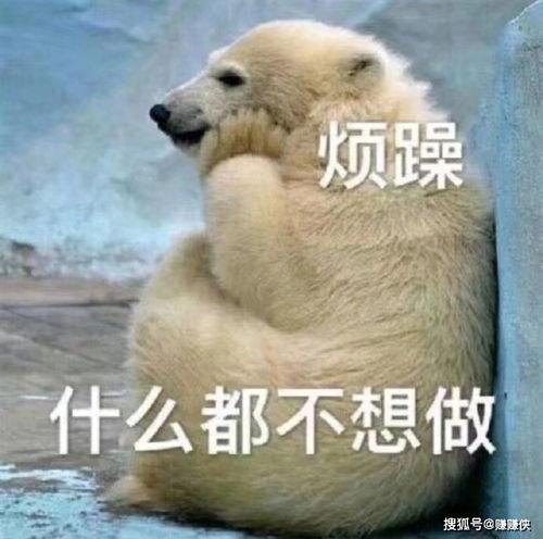 吃瓜群众哭图片,吃瓜群众共情瞬间