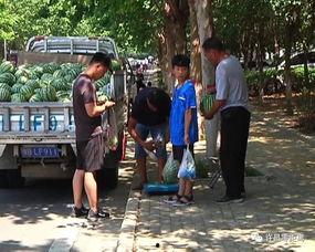 桃江县吃瓜群众,揭秘当地生活百态