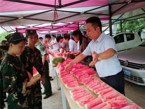 桃江县吃瓜群众,揭秘当地生活百态