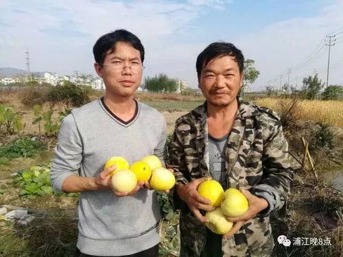 吃瓜群众萝岗,吃瓜群众眼中的繁华都市缩影