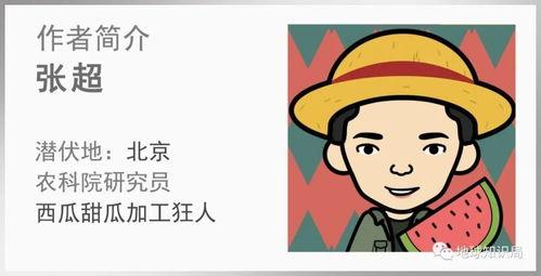 大国的吃瓜群众,揭秘网络时代的全民娱乐现象