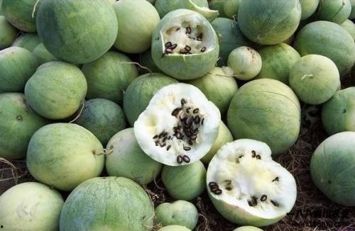 吃瓜群众 由来简介,揭秘网络围观文化的兴起