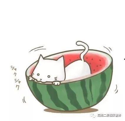 吃瓜群众的西瓜怎么画,吃瓜群众视角下的西瓜绘画艺术解析