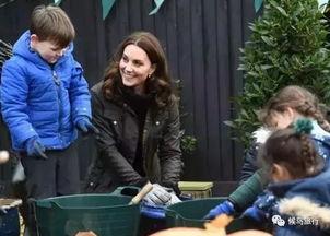 吃瓜群众pitt,揭秘娱乐圈背后的故事