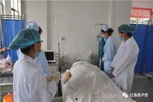 吃瓜群众十四号事件,揭秘网络舆论风暴背后的真相